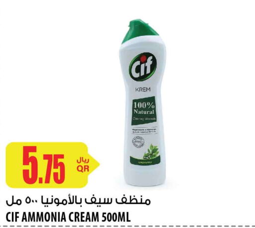  General Cleaner  in شركة الميرة للمواد الاستهلاكية in قطر - الخور