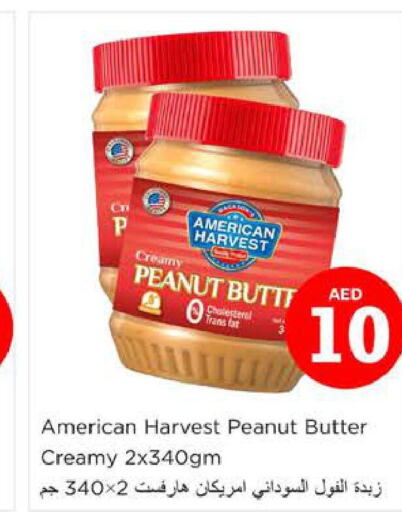 AMERICAN HARVEST Peanut Butter  in نستو هايبرماركت in الإمارات العربية المتحدة , الامارات - أبو ظبي