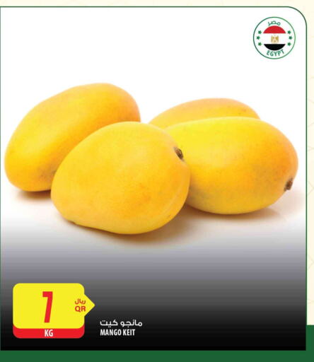 Mango Mango  in شركة الميرة للمواد الاستهلاكية in قطر - الريان