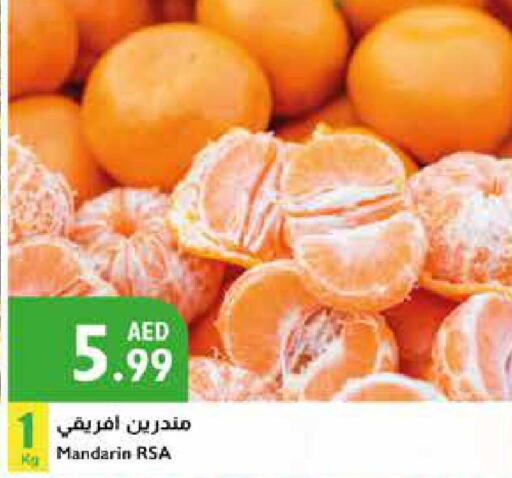  Orange  in إسطنبول سوبرماركت in الإمارات العربية المتحدة , الامارات - أبو ظبي