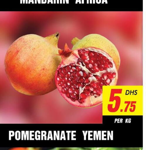  Pomegranate  in نايت تو نايت in الإمارات العربية المتحدة , الامارات - الشارقة / عجمان