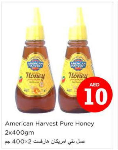 AMERICAN HARVEST Honey  in نستو هايبرماركت in الإمارات العربية المتحدة , الامارات - أبو ظبي