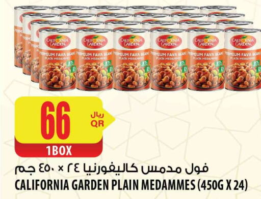 CALIFORNIA GARDEN Fava Beans  in شركة الميرة للمواد الاستهلاكية in قطر - الخور