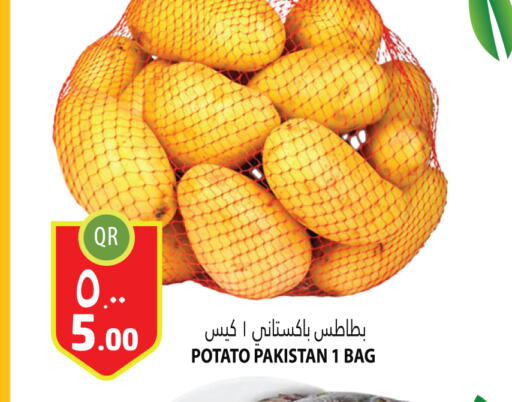  Potato  in مرزا هايبرماركت in قطر - الريان