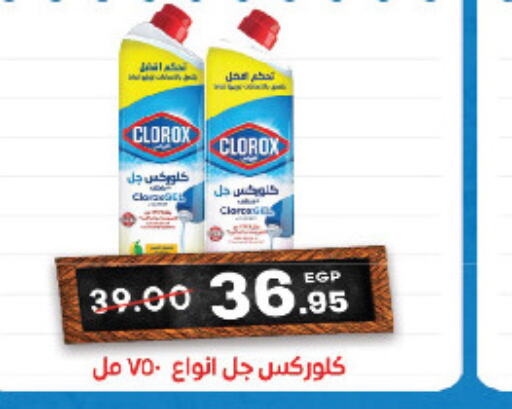 CLOROX General Cleaner  in Zaher Dairy in Egypt - Cairo