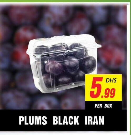  Plums  in نايت تو نايت in الإمارات العربية المتحدة , الامارات - الشارقة / عجمان