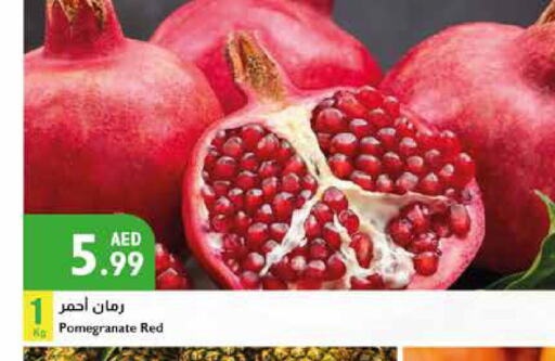  Pomegranate  in إسطنبول سوبرماركت in الإمارات العربية المتحدة , الامارات - أبو ظبي