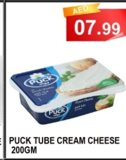 PUCK Cream Cheese  in كاريون هايبرماركت in الإمارات العربية المتحدة , الامارات - أبو ظبي