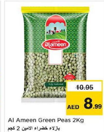 AL AMEEN   in Nesto Hypermarket in UAE - Abu Dhabi