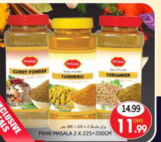 PRAN Spices / Masala  in مجموعة باسونس in الإمارات العربية المتحدة , الامارات - ٱلْعَيْن‎