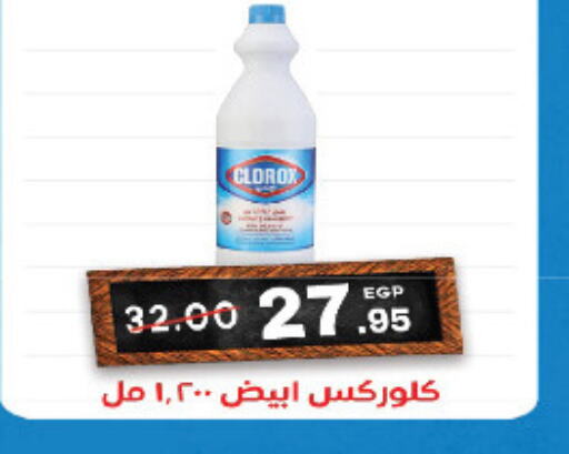 CLOROX General Cleaner  in Zaher Dairy in Egypt - Cairo