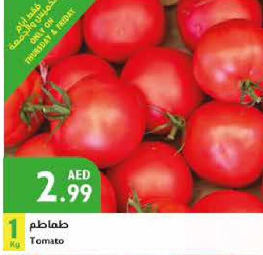  Tomato  in إسطنبول سوبرماركت in الإمارات العربية المتحدة , الامارات - أبو ظبي