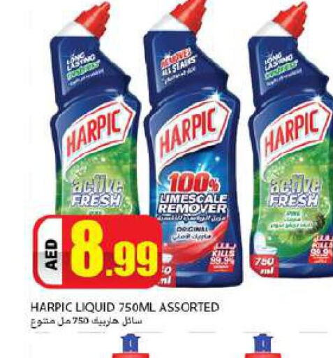 HARPIC Toilet / Drain Cleaner  in Rawabi Market Ajman in UAE - Sharjah / Ajman