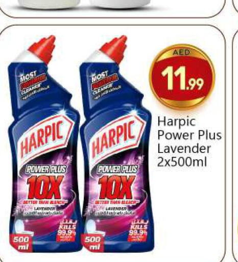 HARPIC Toilet / Drain Cleaner  in بيج مارت in الإمارات العربية المتحدة , الامارات - أبو ظبي