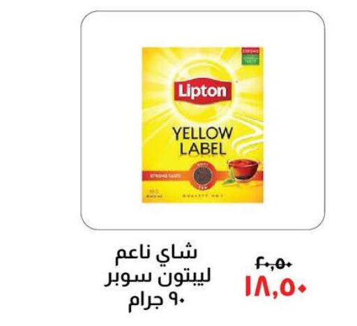 Lipton