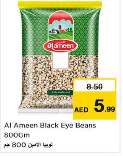 AL AMEEN   in Nesto Hypermarket in UAE - Abu Dhabi