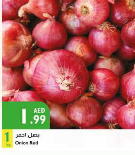  Onion  in إسطنبول سوبرماركت in الإمارات العربية المتحدة , الامارات - أبو ظبي