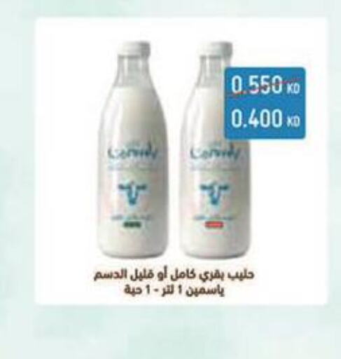  Long Life / UHT Milk  in Al Masayel co-op  in Kuwait - Jahra Governorate