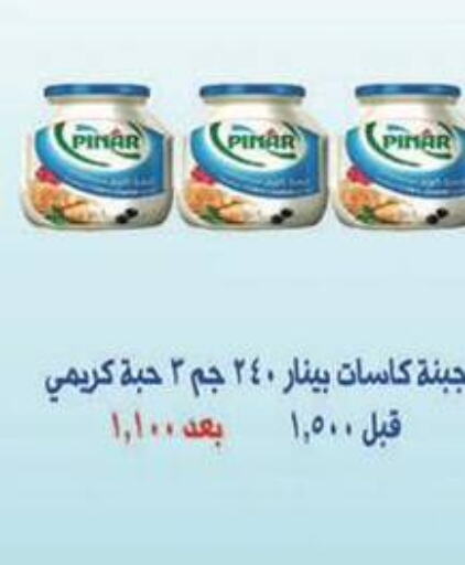 PINAR   in Al Masayel co-op  in Kuwait - Jahra Governorate