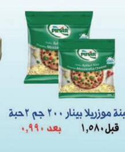 PINAR   in Al Masayel co-op  in Kuwait - Jahra Governorate