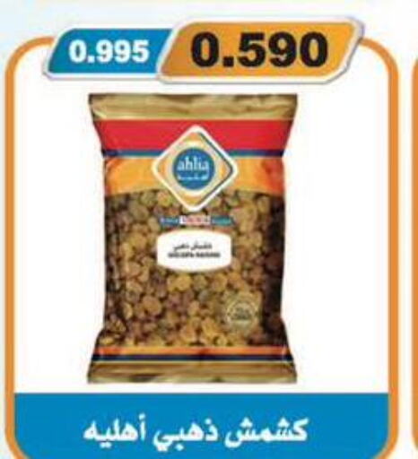 BAYARA   in Al Masayel co-op  in Kuwait - Jahra Governorate