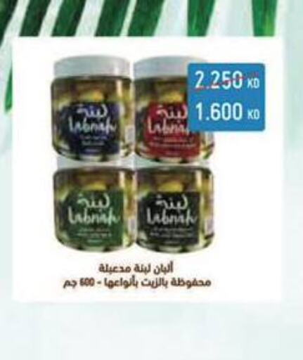 LUNA   in Al Masayel co-op  in Kuwait - Jahra Governorate