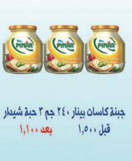 PINAR   in Al Masayel co-op  in Kuwait - Jahra Governorate