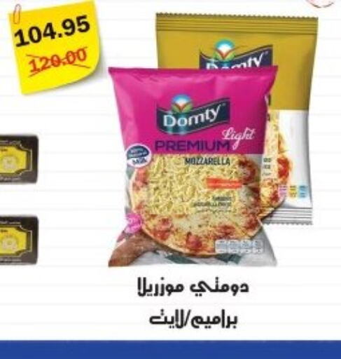 DOMTY Mozzarella  in Smart Market in Egypt - Cairo