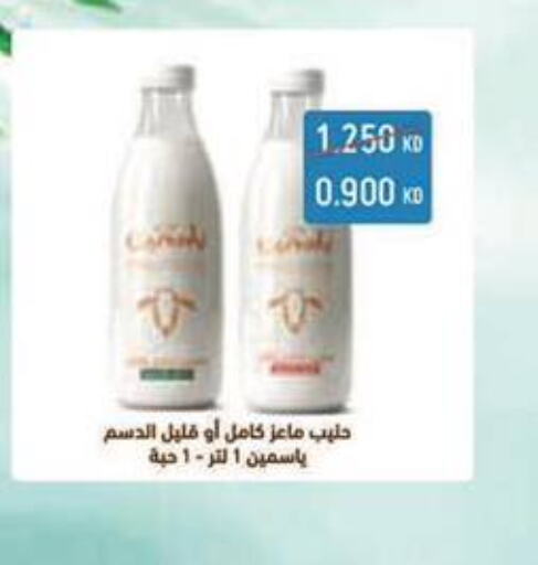  Long Life / UHT Milk  in Al Masayel co-op  in Kuwait - Jahra Governorate