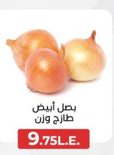 Onion