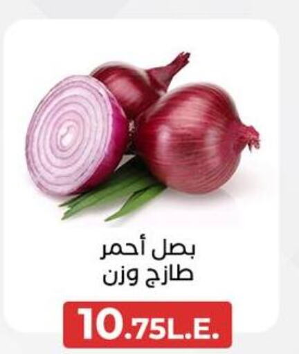 Onion