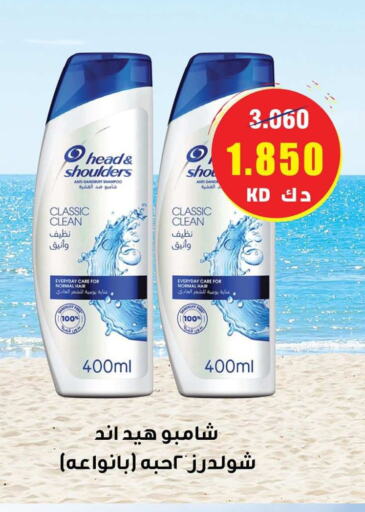  Shampoo / Conditioner  in جمعية مدينة صباح الأحمد التعاونية in الكويت - مدينة الكويت