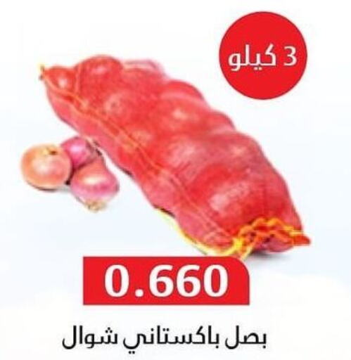  Onion  in جمعية المسايل التعاونية in الكويت - مدينة الكويت