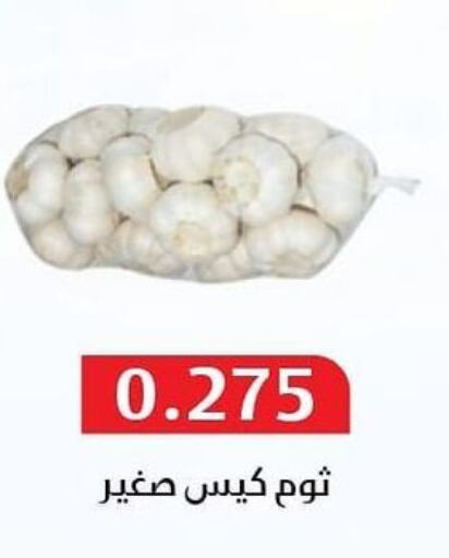  Garlic  in جمعية المسايل التعاونية in الكويت - مدينة الكويت