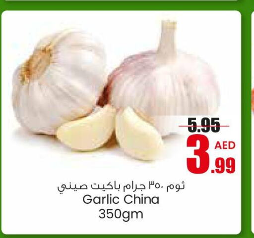  Garlic  in Armed Forces Cooperative Society (AFCOOP) in UAE - Abu Dhabi