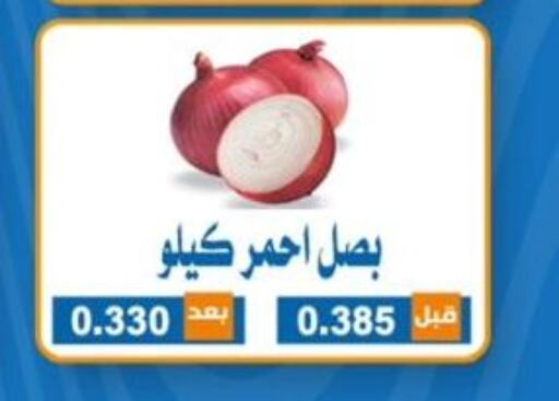  Onion  in جمعية ضاحية الشهداء التعاونية in الكويت - محافظة الأحمدي