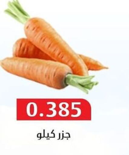  Carrot  in جمعية المسايل التعاونية in الكويت - مدينة الكويت