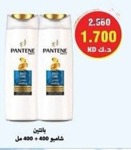 PANTENE Shampoo / Conditioner  in جمعية كيفان التعاونية in الكويت - مدينة الكويت