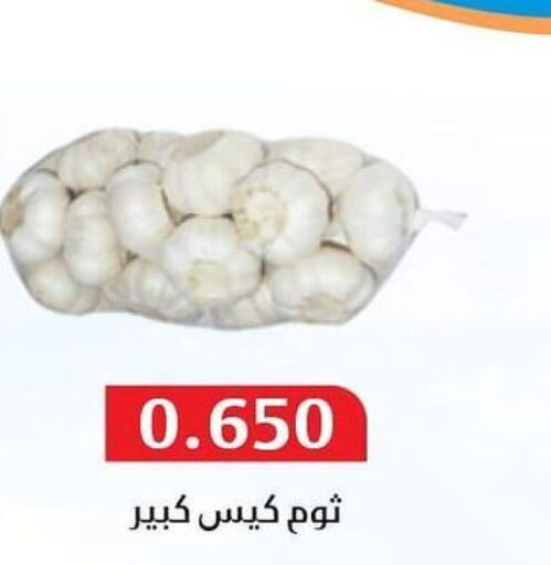  Garlic  in جمعية المسايل التعاونية in الكويت - مدينة الكويت