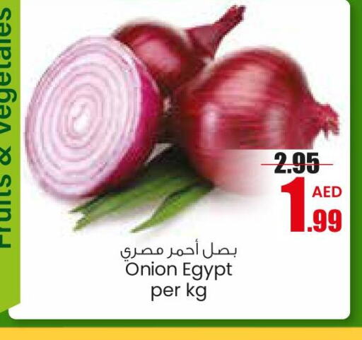  Onion  in جمعية القوات المسلحة التعاونية (أفكوب) in الإمارات العربية المتحدة , الامارات - أبو ظبي