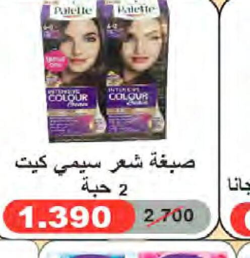 PALETTE Hair Colour  in  Al Naeem coop in Kuwait - Ahmadi Governorate