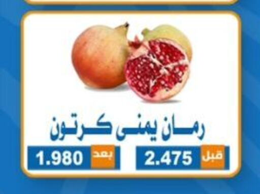  Pomegranate  in جمعية ضاحية الشهداء التعاونية in الكويت - محافظة الأحمدي