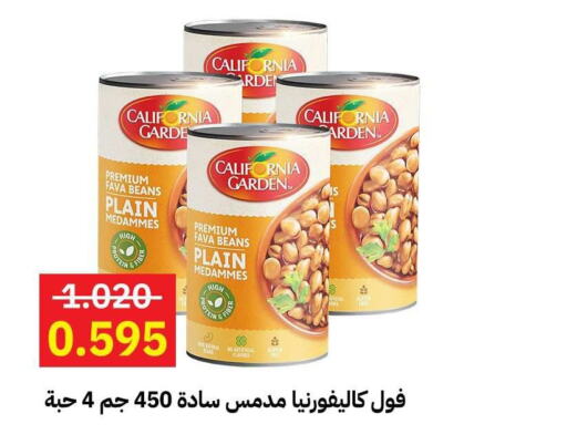 CALIFORNIA GARDEN Fava Beans  in Sabah Al-Ahmad Cooperative Society in Kuwait - Kuwait City