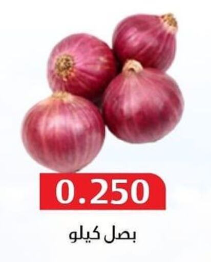  Onion  in جمعية المسايل التعاونية in الكويت - مدينة الكويت