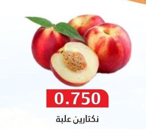  Pomegranate  in جمعية المسايل التعاونية in الكويت - مدينة الكويت