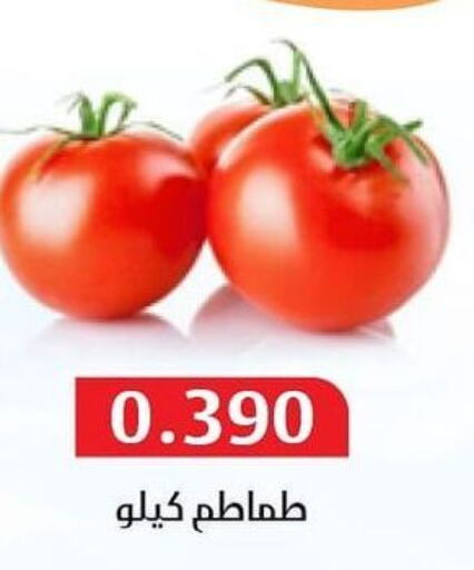  Tomato  in جمعية المسايل التعاونية in الكويت - مدينة الكويت