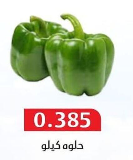  Tomato  in جمعية المسايل التعاونية in الكويت - مدينة الكويت