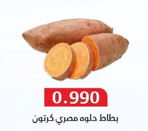  Tomato  in جمعية المسايل التعاونية in الكويت - مدينة الكويت