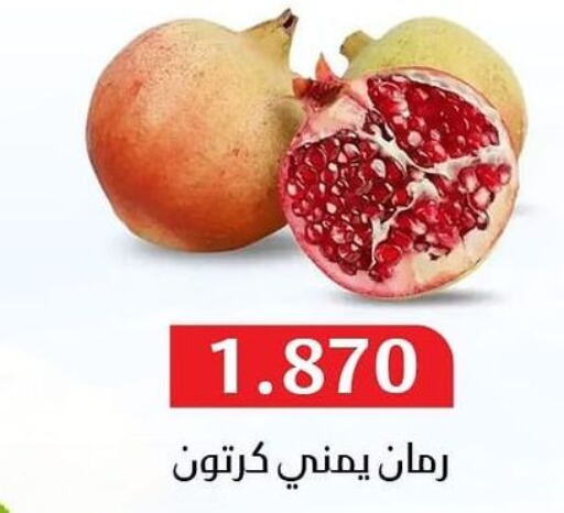  Pomegranate  in جمعية المسايل التعاونية in الكويت - مدينة الكويت