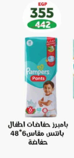 Pampers   in زهران ماركت in Egypt - القاهرة